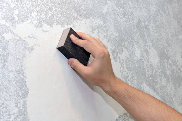 Best Biohazard Mold Removal  in Nd Point, WI
