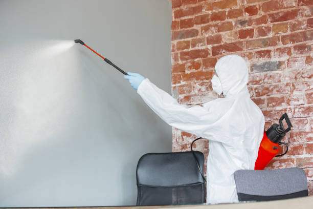 Best Environmental Consulting for Mold Prevention  in Nd Point, WI