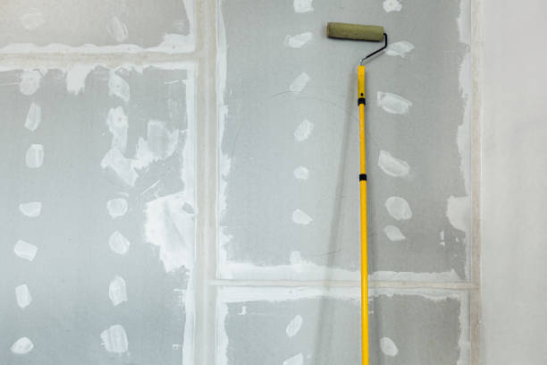 Best Mold Documentation for Insurance Claims  in Nd Point, WI