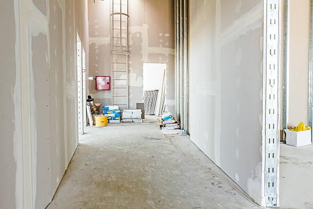 Reliable Wind Point, WI Mold Removal Solutions