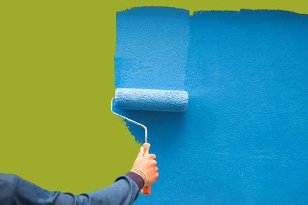Best Black Mold Removal  in Nd Point, WI
